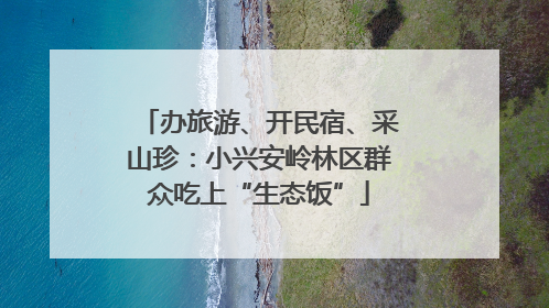 办旅游、开民宿、采山珍：小兴安岭林区群众吃上“生态饭”