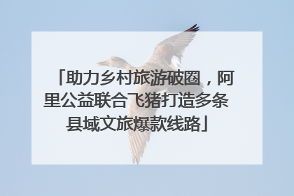 助力乡村旅游破圈，阿里公益联合飞猪打造多条县域文旅爆款线路