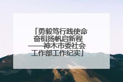 勇毅笃行践使命 奋楫扬帆启新程——神木市委社会工作部工作纪实