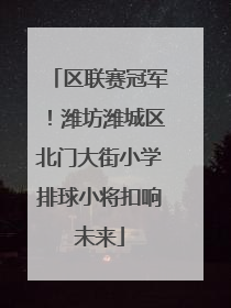 区联赛冠军！潍坊潍城区北门大街小学排球小将扣响未来