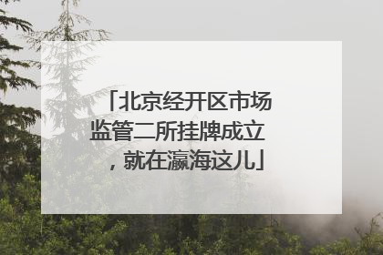 北京经开区市场监管二所挂牌成立，就在瀛海这儿