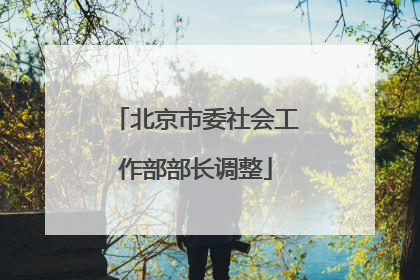 北京市委社会工作部部长调整