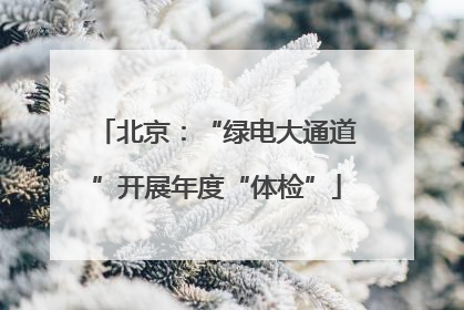北京：“绿电大通道”开展年度“体检”