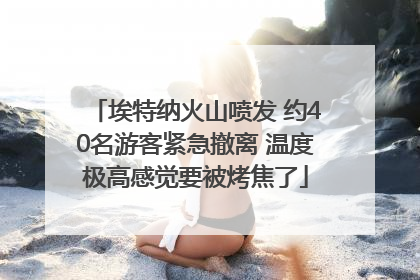 埃特纳火山喷发 约40名游客紧急撤离 温度极高感觉要被烤焦了
