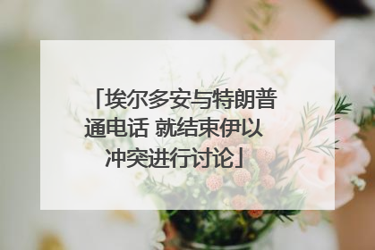 埃尔多安与特朗普通电话 就结束伊以冲突进行讨论