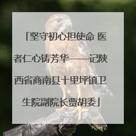 坚守初心担使命 医者仁心铸芳华——记陕西省商南县十里坪镇卫生院副院长贾胡委