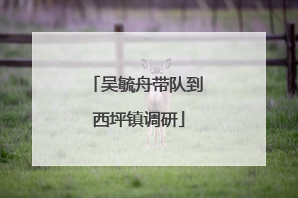 吴毓舟带队到西坪镇调研