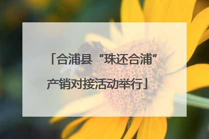 合浦县“珠还合浦”产销对接活动举行