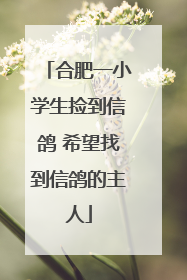 合肥一小学生捡到信鸽 希望找到信鸽的主人