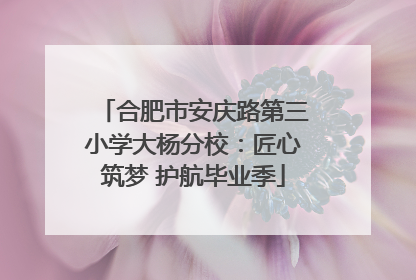 合肥市安庆路第三小学大杨分校：匠心筑梦 护航毕业季