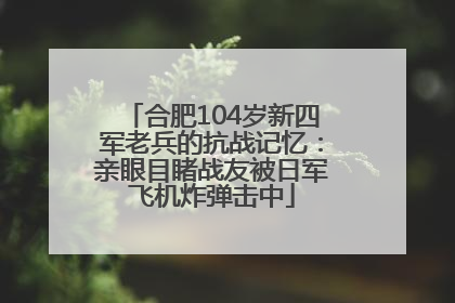 合肥104岁新四军老兵的抗战记忆：亲眼目睹战友被日军飞机炸弹击中