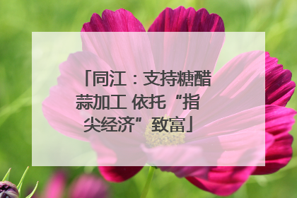 同江：支持糖醋蒜加工 依托“指尖经济”致富