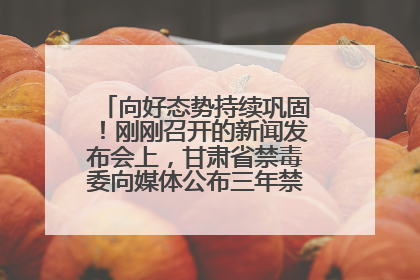 向好态势持续巩固！刚刚召开的新闻发布会上，甘肃省禁毒委向媒体公布三年禁毒工作“成绩单”