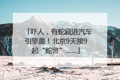 吓人，有蛇藏进汽车引擎盖！北京9天接9起“蛇警”……