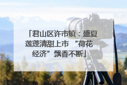 君山区许市镇：盛夏莲蓬清甜上市 “荷花经济”飘香不断