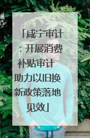 咸宁审计：开展消费补贴审计 助力以旧换新政策落地见效