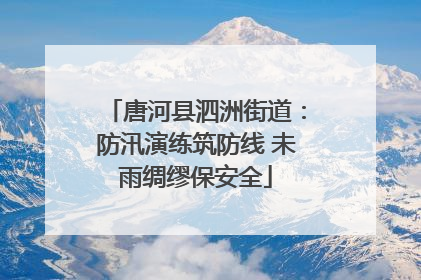 唐河县泗洲街道：防汛演练筑防线 未雨绸缪保安全