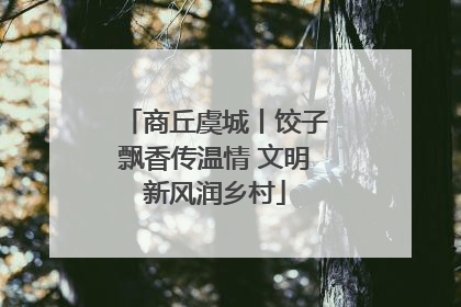 商丘虞城丨饺子飘香传温情 文明新风润乡村