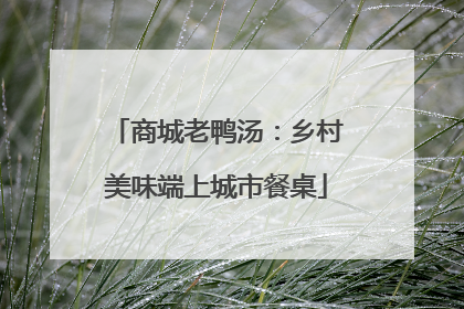 商城老鸭汤：乡村美味端上城市餐桌