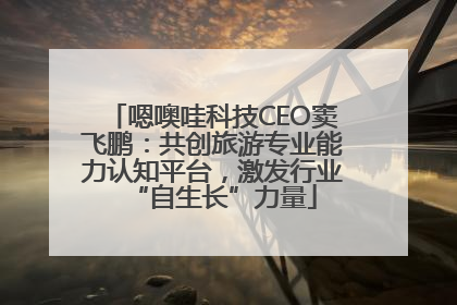 嗯噢哇科技CEO窦飞鹏：共创旅游专业能力认知平台，激发行业“自生长”力量