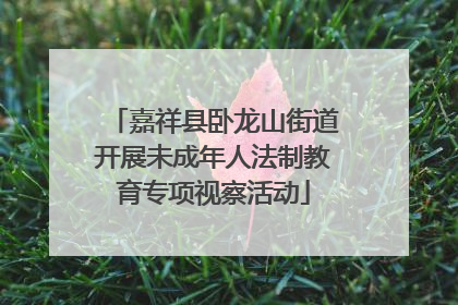 嘉祥县卧龙山街道开展未成年人法制教育专项视察活动