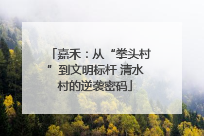 嘉禾：从“拳头村”到文明标杆 清水村的逆袭密码