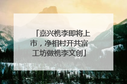 嘉兴槜李即将上市，净相村开共富工坊做槜李文创