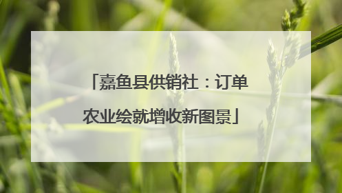 嘉鱼县供销社：订单农业绘就增收新图景