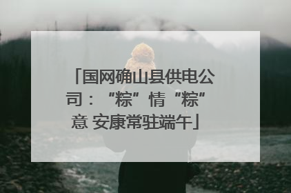 国网确山县供电公司：“粽”情“粽”意 安康常驻端午
