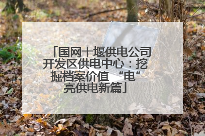 国网十堰供电公司开发区供电中心：挖掘档案价值 “电”亮供电新篇