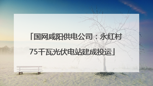 国网咸阳供电公司：永红村75千瓦光伏电站建成投运