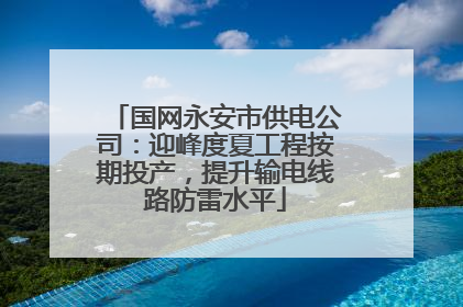 国网永安市供电公司：迎峰度夏工程按期投产，提升输电线路防雷水平