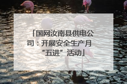 国网汝南县供电公司：开展安全生产月“五进”活动