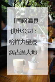 国网温县供电公司：榜样力量浸润古温大地