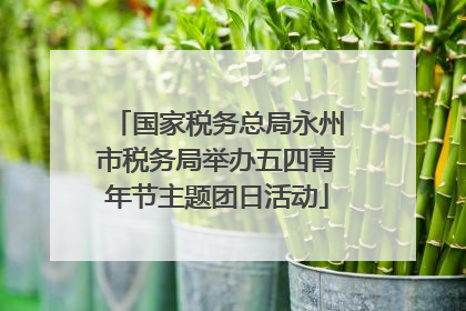 国家税务总局永州市税务局举办五四青年节主题团日活动