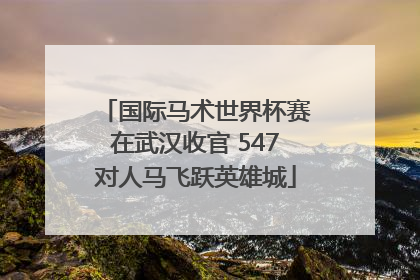国际马术世界杯赛在武汉收官 547对人马飞跃英雄城