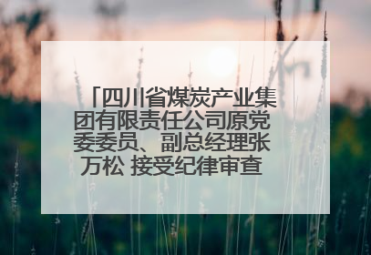 四川省煤炭产业集团有限责任公司原党委委员、副总经理张万松 接受纪律审查和监察调查