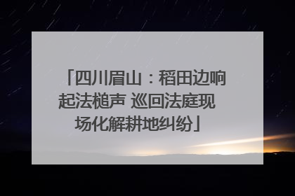 四川眉山：稻田边响起法槌声 巡回法庭现场化解耕地纠纷