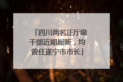 四川两名正厅级干部近期履新，均曾任遂宁市市长