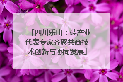 四川乐山：硅产业代表专家齐聚共商技术创新与协同发展