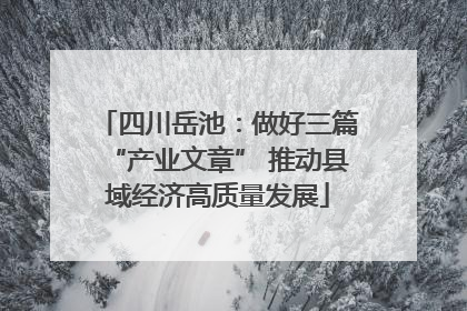 四川岳池：做好三篇“产业文章” 推动县域经济高质量发展