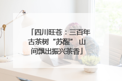 四川旺苍：三百年古茶树“苏醒” 山间飘出振兴茶香