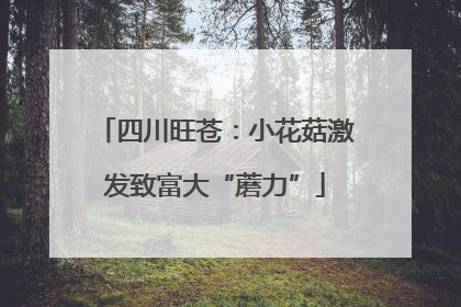 四川旺苍：小花菇激发致富大“蘑力”