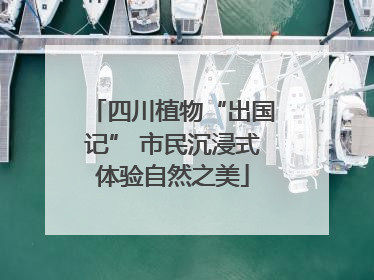 四川植物“出国记” 市民沉浸式体验自然之美