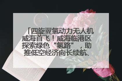 四旋翼氢动力无人机威海首飞！威海临港区探索绿色“氢路”，助推低空经济向长续航、大载重“进化”