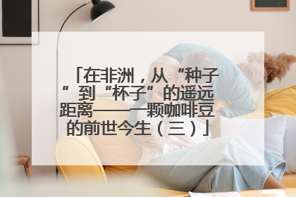 在非洲，从“种子”到“杯子”的遥远距离——一颗咖啡豆的前世今生（三）