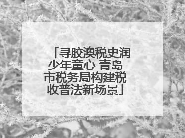 寻胶澳税史润少年童心 青岛市税务局构建税收普法新场景