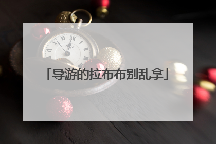 导游的拉布布别乱拿