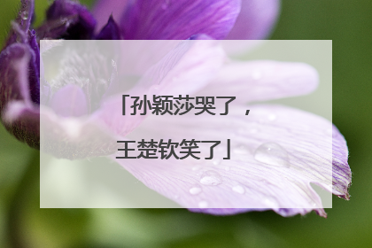 孙颖莎哭了，王楚钦笑了