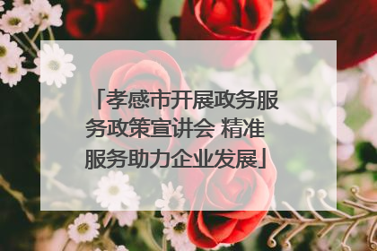 孝感市开展政务服务政策宣讲会 精准服务助力企业发展